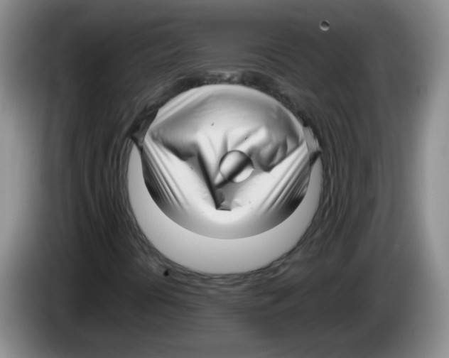 X0000083561394200703091606