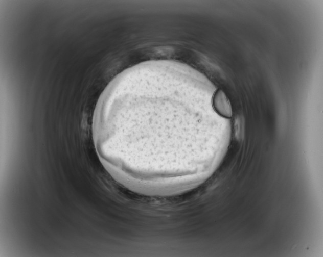 X0000083561395200703091606