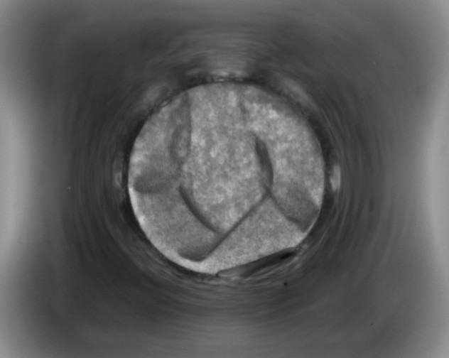 X0000083561396200703091606