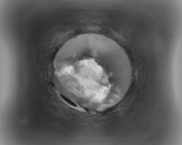 X0000083561397200703091606