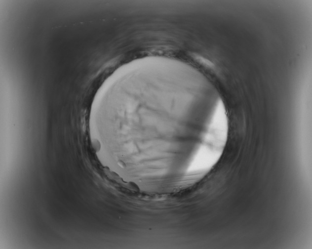 X0000083561399200703091606