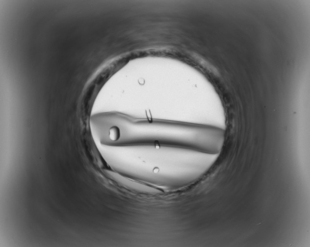 X0000083561400200703091606