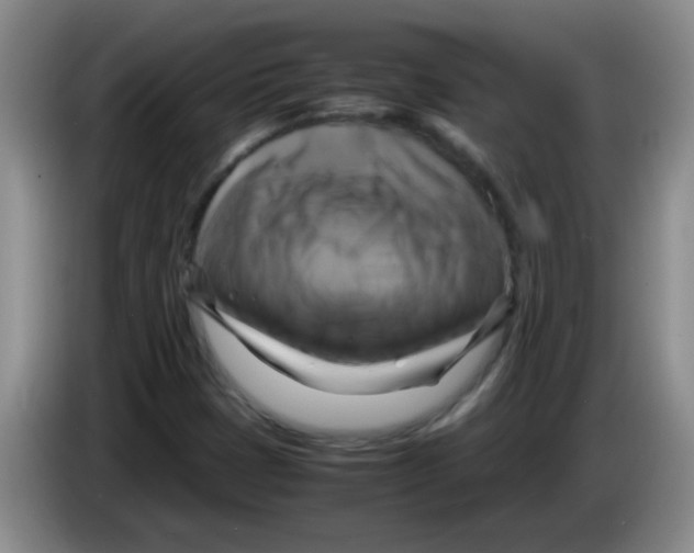 X0000083561401200703091606