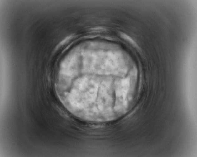 X0000083561403200703091606