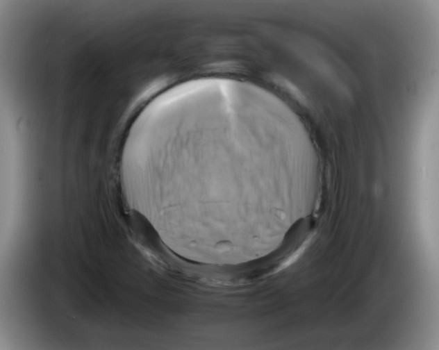 X0000083561405200703091607