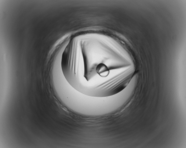 X0000083561406200703091607