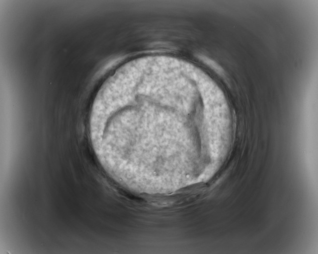 X0000083561407200703091607