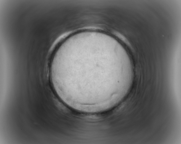 X0000083561408200703091607