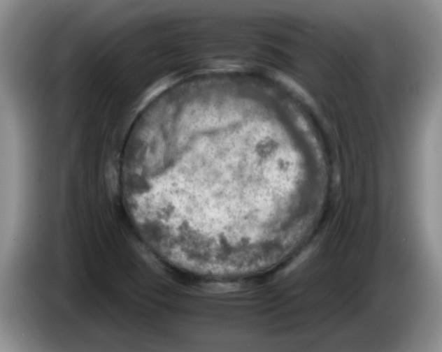 X0000083561409200703091607