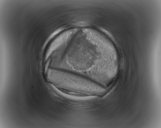 X0000083561410200703091607