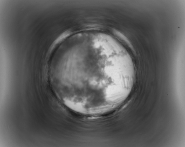 X0000083561411200703091607