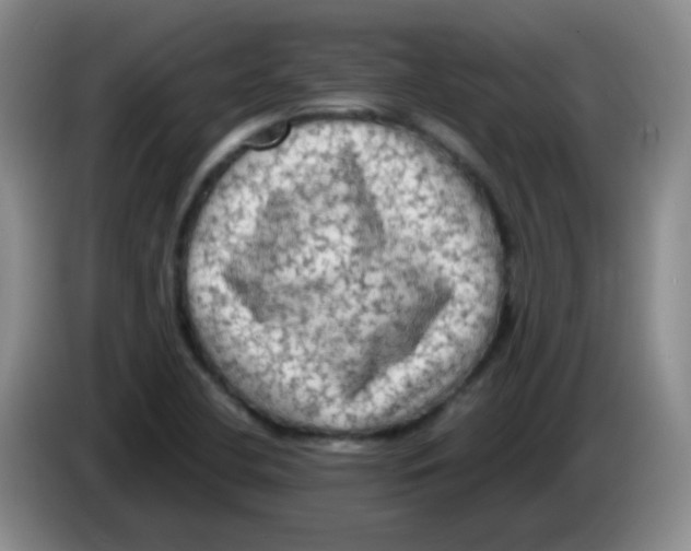 X0000083561412200703091607