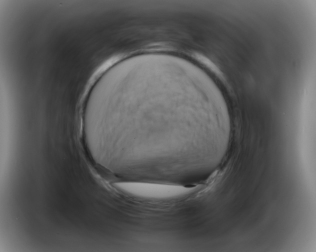 X0000083561413200703091607