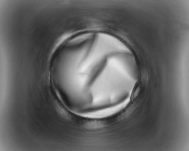 X0000083561414200703091607