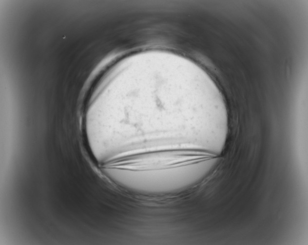 X0000083561416200703091607