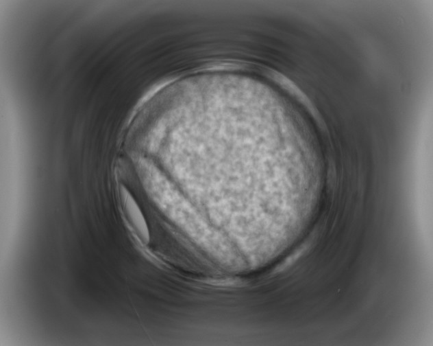 X0000083561417200703091607