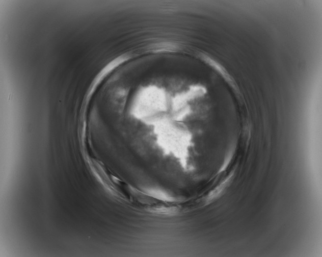 X0000083561418200703091607