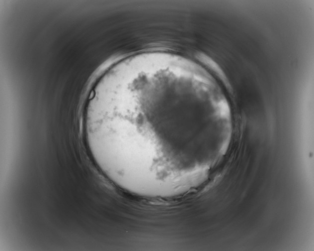 X0000083561419200703091607