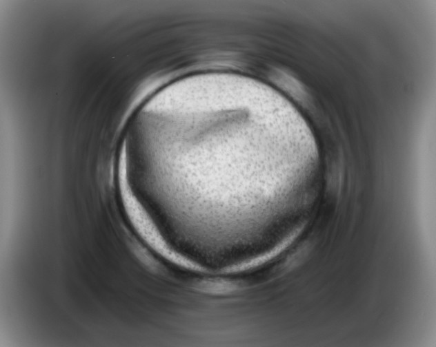 X0000083561420200703091607