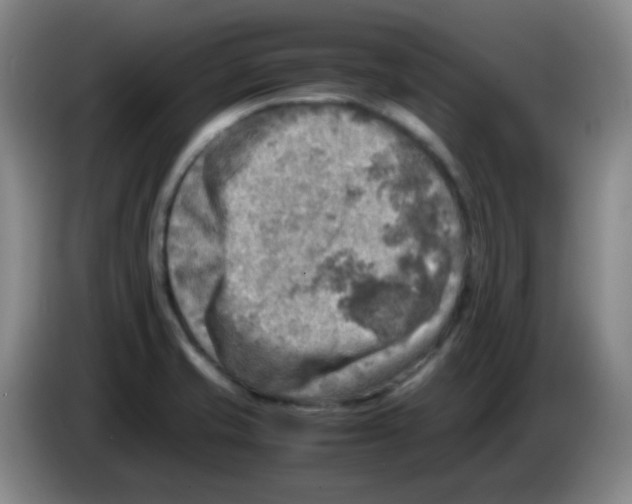 X0000083561421200703091607