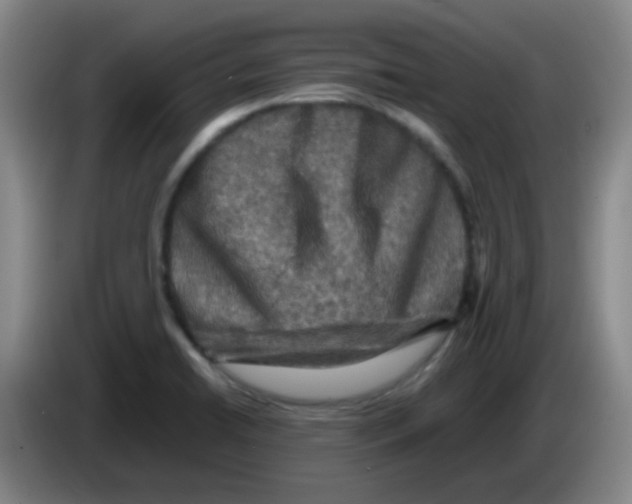 X0000083561422200703091607