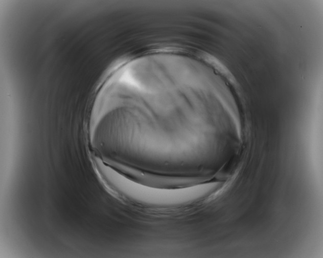 X0000083561425200703091607