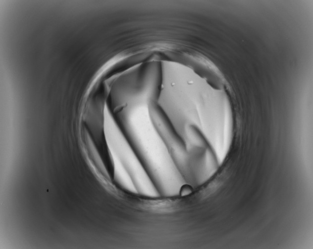 X0000083561426200703091607