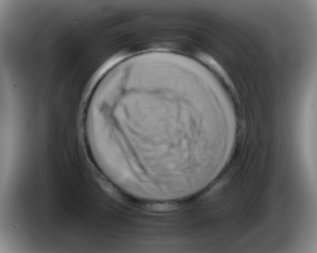 X0000083561427200703091607