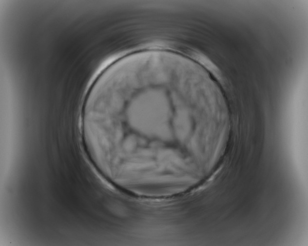 X0000083561428200703091607