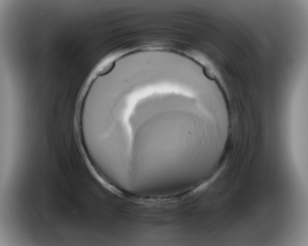 X0000083561429200703091607