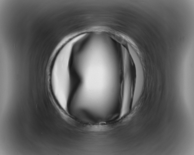 X0000083561430200703091607