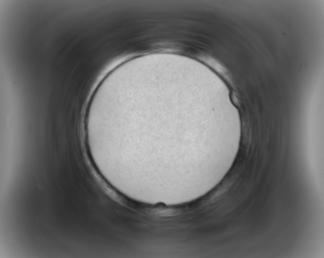 X0000083561431200703091607