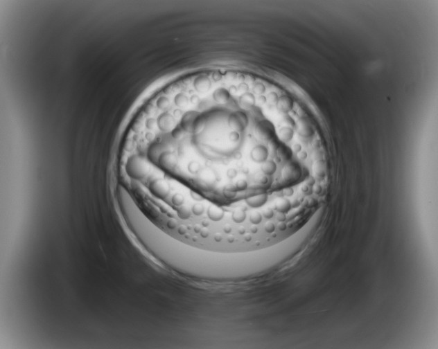 X0000083561432200703091607