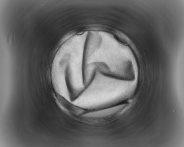 X0000083561433200703091607