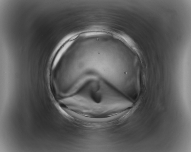 X0000083561438200703091607