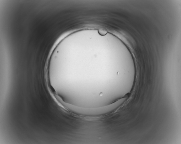 X0000083561440200703091607