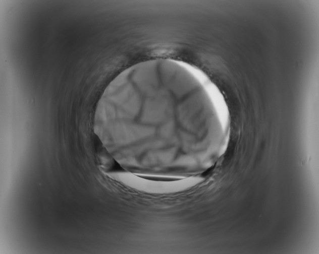 X0000083561441200703091606