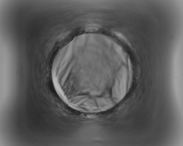 X0000083561445200703091606