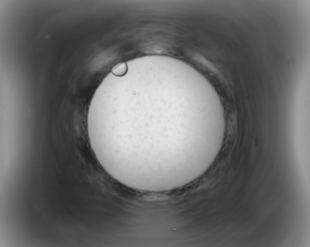 X0000083561446200703091606