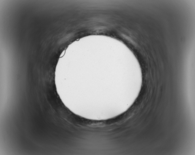 X0000083561447200703091606