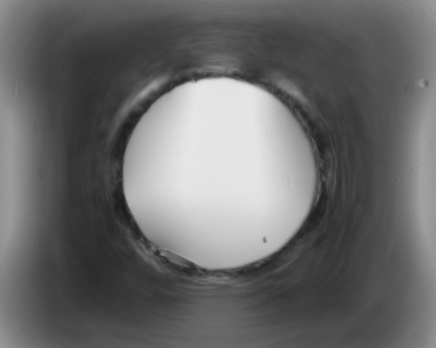 X0000083561448200703091606