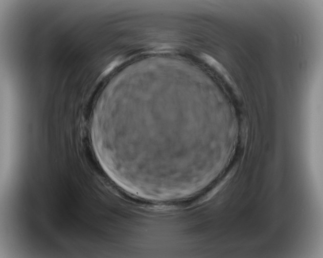 X0000083561449200703091606