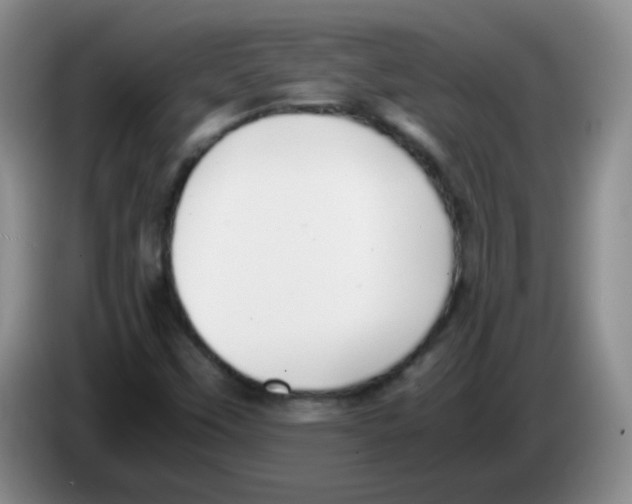 X0000083561451200703091606