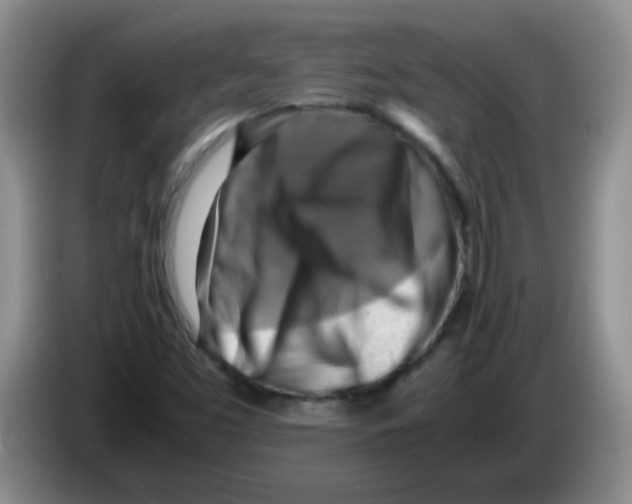 X0000083561453200703091606