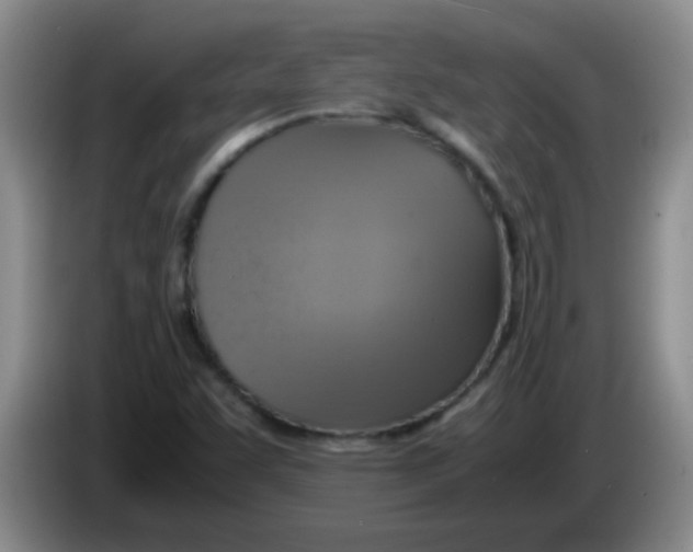 X0000083561455200703091606