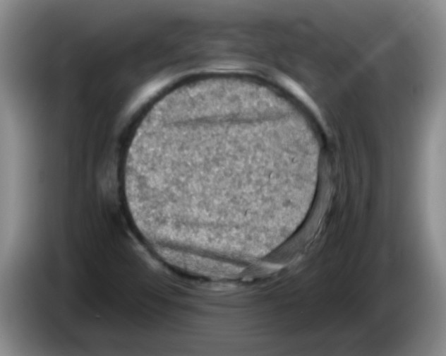 X0000083561456200703091606