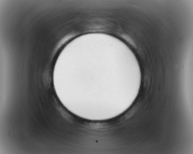 X0000083561458200703091606