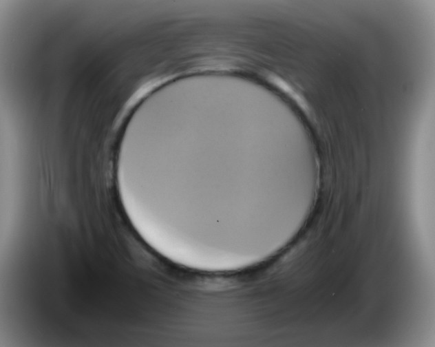 X0000083561459200703091606