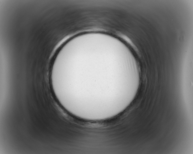 X0000083561460200703091606