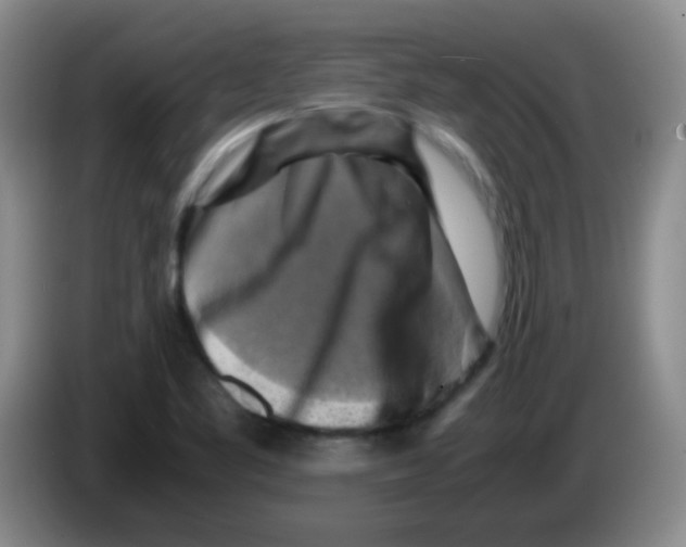 X0000083561461200703091606